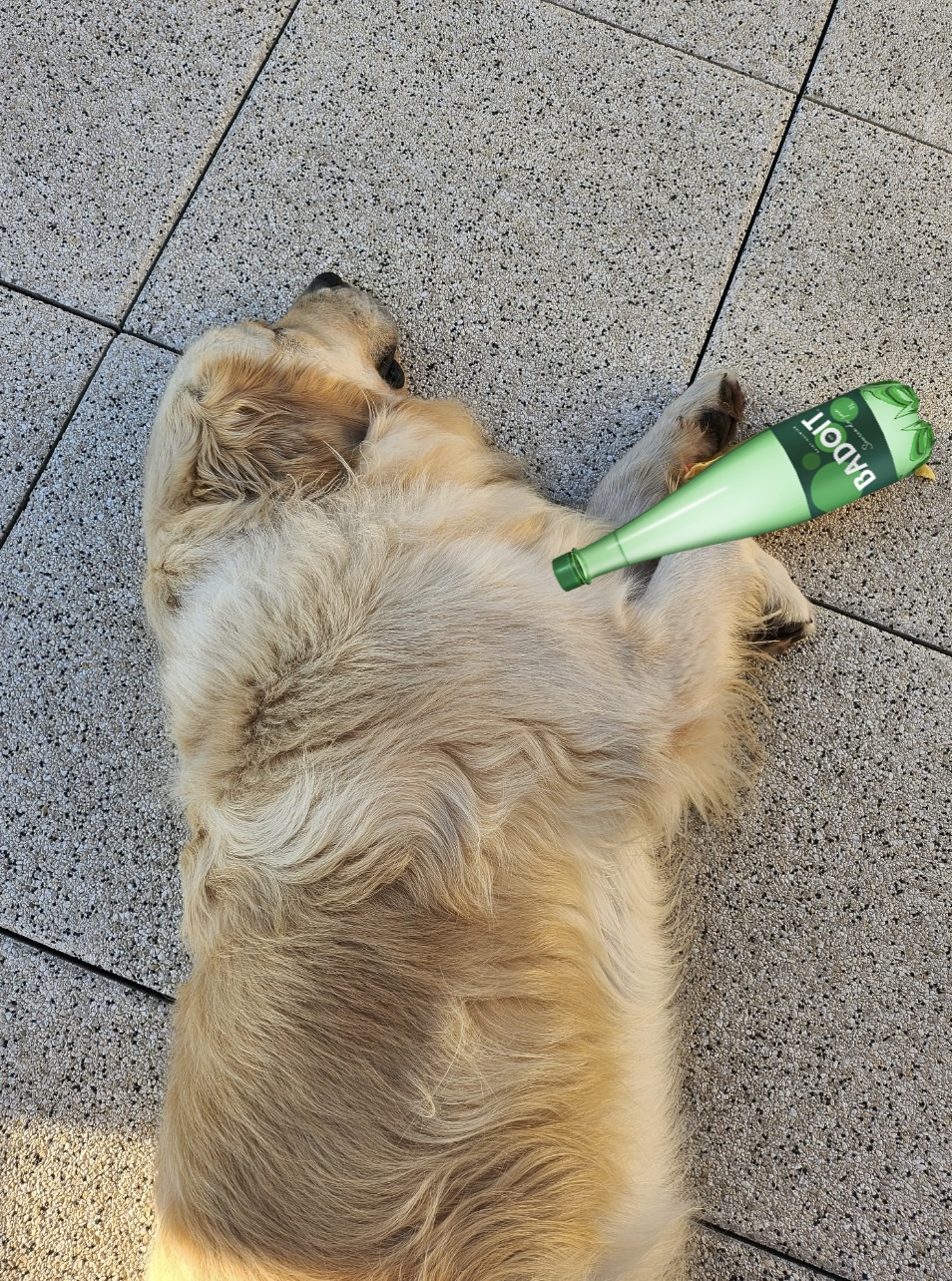 Mon chien 2